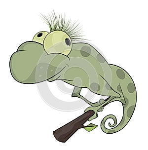 Big green Chameleon cartoon