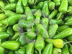 Big green chillies