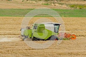 Big green combine harvester machine working in a wheat gold field, mows grass in summer field. Farm machinery harvesting grain in