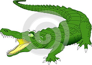 Big Green Crocodile