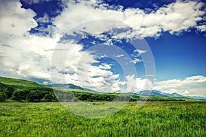 Big green fiels with cloudy sky