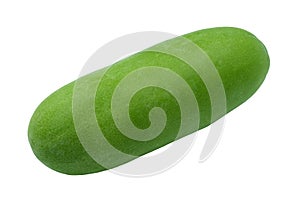 Big green fresh winter melon vegetable isolated on white background with clipping path