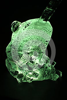 Big green ice frog