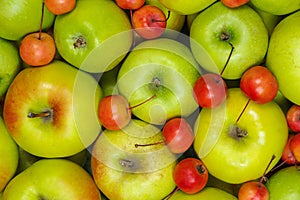 Big green and small red crab apples