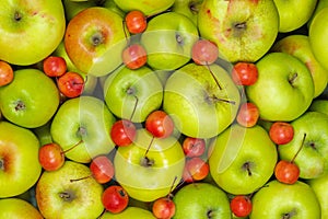 Big green and small red crab apples