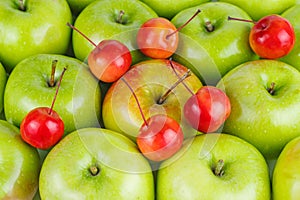 Big green and small red crab apples