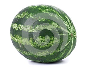 Big green water melon
