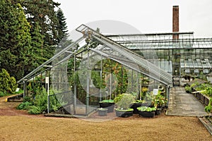 Big greenhouse