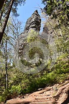 Big grey rocks with mountains and trees in background at Elbe Sandstone Mountains in beautiful Saxon Switzerland near Bohemian Swi