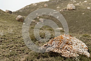 Big grey rough stone with orange lichen, cracks, splits on dim green dry grass slope, closeup, blur in frowning dull summer day