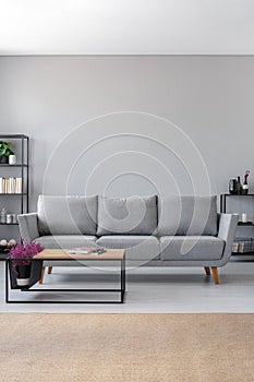 Big grey sofa and coffee table in scandinavian living room, real photo with copy space on the wall