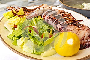 Big Grilled Squid Served with Half a Lemon, and Romain and Tomato Salad photo