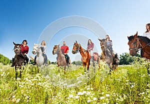 Big group of horseback riders in flowery meadow