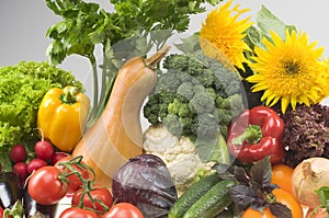 Big group of vegetable food objects