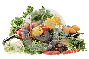 Big group of vegetable food objects