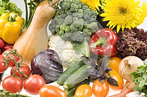 Big group of vegetable food objects