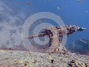 Big gun on top of a ship wreck during dive