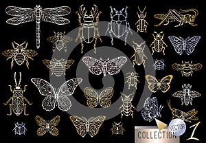 Big hand drawn golden line set of insects bugs, beetles, honey bees, butterfly, moth, bumblebee, wasp, dragonfly, grasshopper.