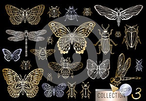 Big hand drawn golden line set of insects bugs, beetles, honey bees, butterfly, moth, bumblebee, wasp, dragonfly, grasshopper.