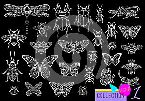 Big hand drawn line set of insects bugs, beetles, honey bees, butterfly moth, bumblebee, wasp, dragonfly, grasshopper.