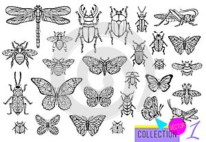 Big hand drawn line set of insects bugs, beetles, honey bees, butterfly moth, bumblebee, wasp, dragonfly, grasshopper.