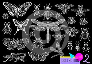 Big hand drawn line set of insects bugs, beetles, honey bees, butterfly moth, bumblebee, wasp, dragonfly, grasshopper.