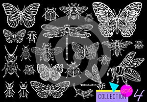 Big hand drawn line set of insects bugs, beetles, honey bees, butterfly moth, bumblebee, wasp, dragonfly, grasshopper.