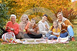 Big happy family on picnic photo