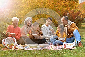 Big happy family on picnic photo