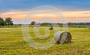 Big hay bale rolls in a lush green field