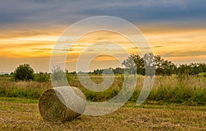 Big hay bale rolls in a lush green field