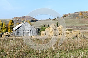 Big haystack near an old wooden shed against hills and the wood