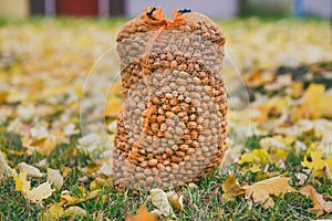 Big hazelnuts bag