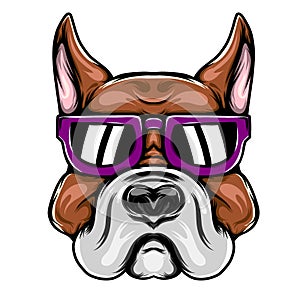 The big head pitbull for the mascot inspiration with purple sunglasses