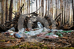 Big heap plastic and glass bottles waste in pine forest. Nature woods landscape environment polluted by human rubbish recyclable