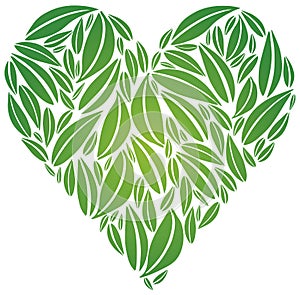 Big Heart made of Green Leaves