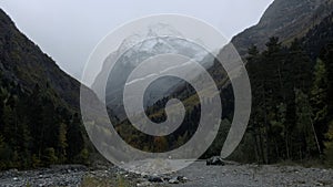 Big high mountains. Creative. Huge hills covered with snow and overgrown with green fir trees and pine trees around