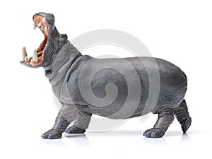 Big hippo toy photo