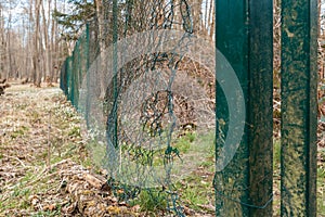 Big hole in wire mesh fence