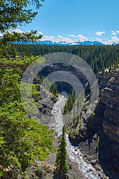 Big horn river downstream from Cresent falls Canadian Rockies Alberta