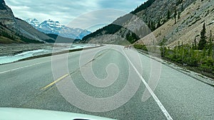 Big Horn Sheep spotted while driving on the Icefields Parkway in Jasper National Park in Canada