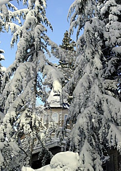 Big house in the snow woods