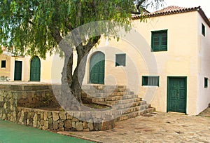 Big house with tree and green doors