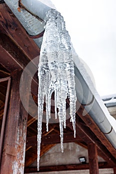 Big icecles hangigng from the roof of the house in cold winter