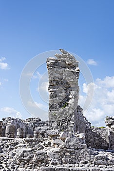 Big iguana/lizard wildlife animal guarding the ancient ruins of