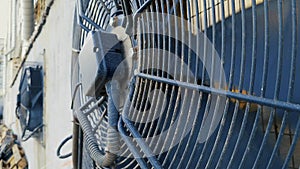 Big industrial fan closeup on factory. Ventilation of industrial plant building.