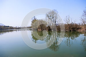 Big lake, tree trunks,branches with no leaves ,early spring countryside. Green water. Wild nature