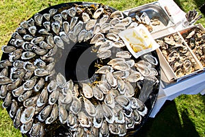 Big large tasty oysters on the plate on round table in party in Cap Ferret Arcachon bay France photo