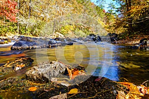 Big Laurel Creek