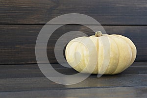 Big light yellow pumpkin on dark wooden background, lot of copy space for text.